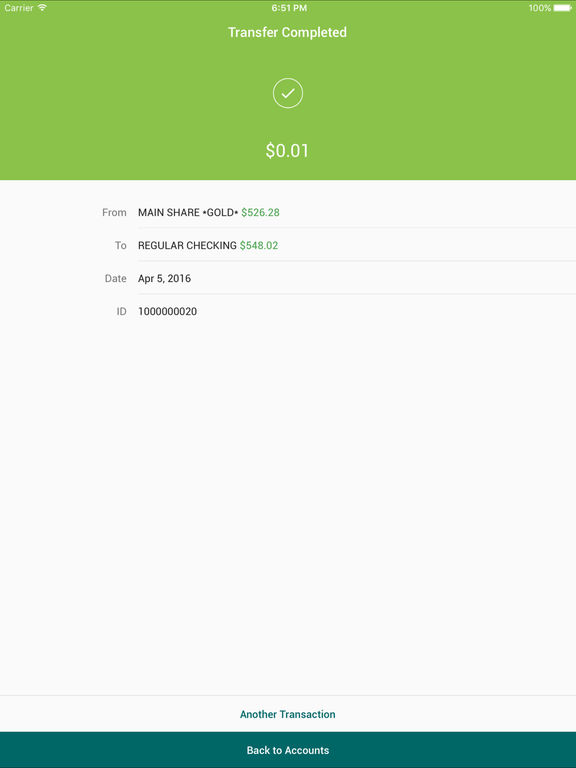 iPad Screenshot 3