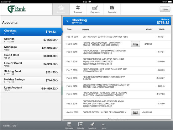 iPad Screenshot 3
