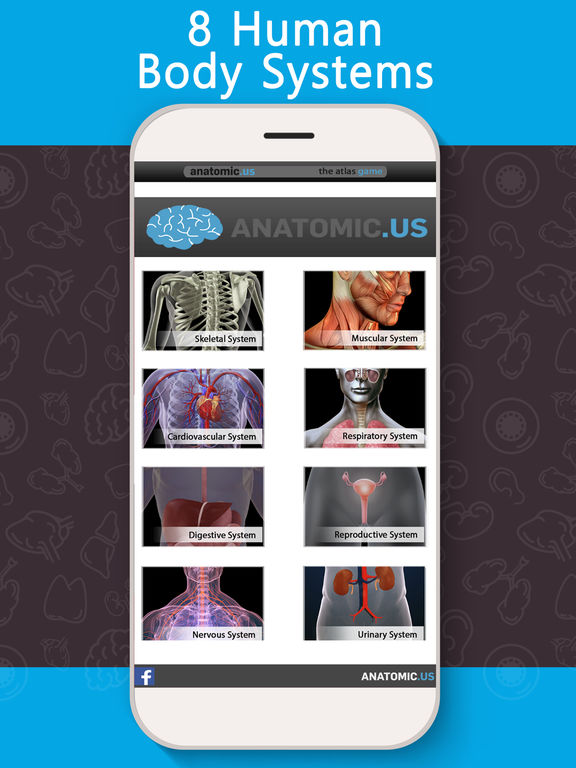 Anatomy Game Anatomicus на iPad