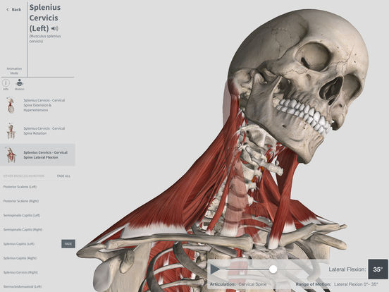 complete anatomy ipad