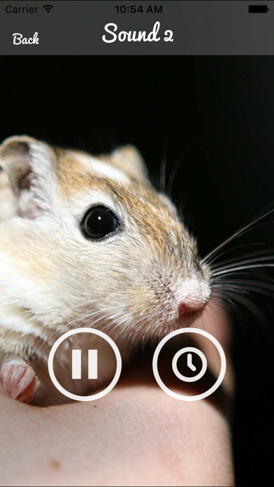 Mouse and Rat Sounds screenshot 3