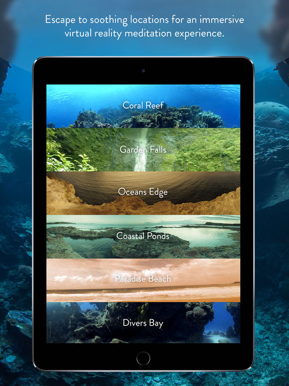 iPad Screenshot 2