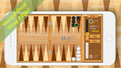 Backgammon Plus Pro screenshot 2