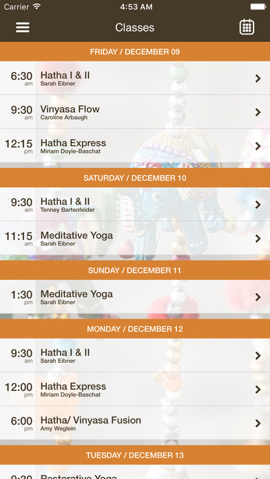 Yoga Gallery and Wellness LLC screenshot 3