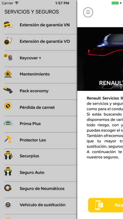 RSI Renault screenshot 2