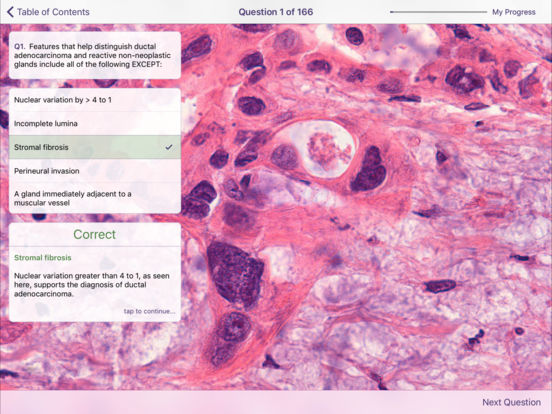 iPad Screenshot 5