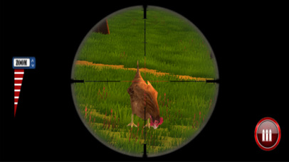 Chicken Scream Hunting Simulator 2017 screenshot 2