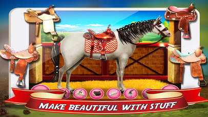 Horse Care Game screenshot 4