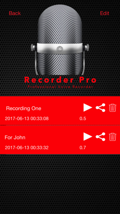 Recorder Plus : Professional Voice Recorder screenshot 4