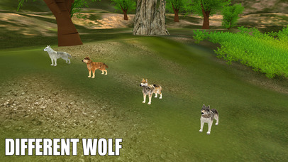 Wolf Attack Simulator 2017 screenshot 4