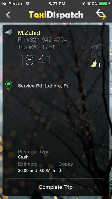 Massive Transportation Service screenshot 4