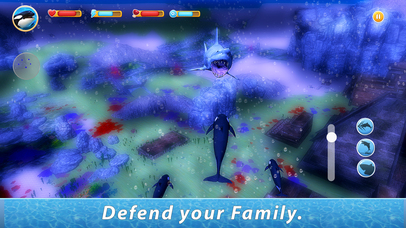 Orca Family Simulator Full screenshot 3