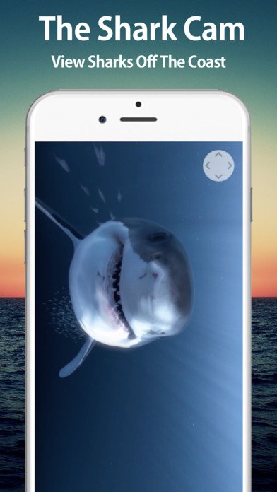Shark Locator 2017 screenshot 2