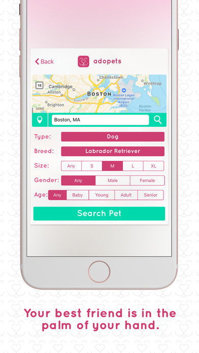 adopets - adopt a pet now screenshot 2