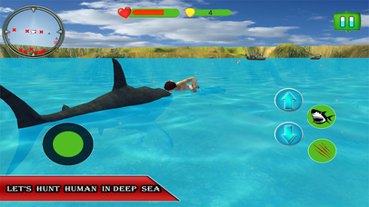 Wild Shark Attack in Swimming Pool : 3D Simulation screenshot 3