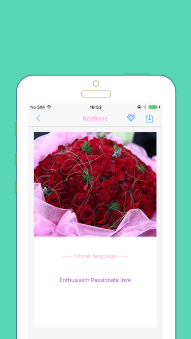 Flowerpedia Pro - Language of Flowers screenshot 3