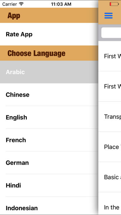 Grammar Foreign Language screenshot 2