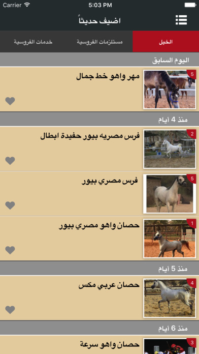 الحصان العربي screenshot 3