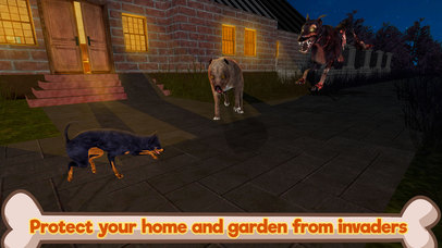Chihuahua Tiny Dog Simulator 3D screenshot 3