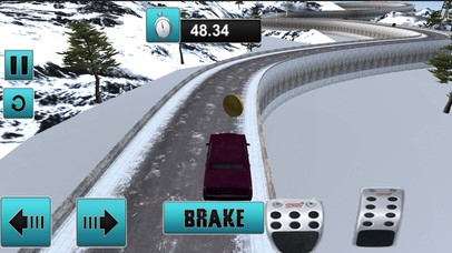 Real Winter Snow Car Driving Simulato screenshot 4