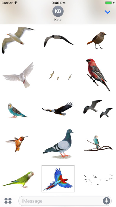 Flock of Birds Stickers screenshot 3