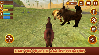 Wild Mustang Horse Survival Simulator screenshot 3