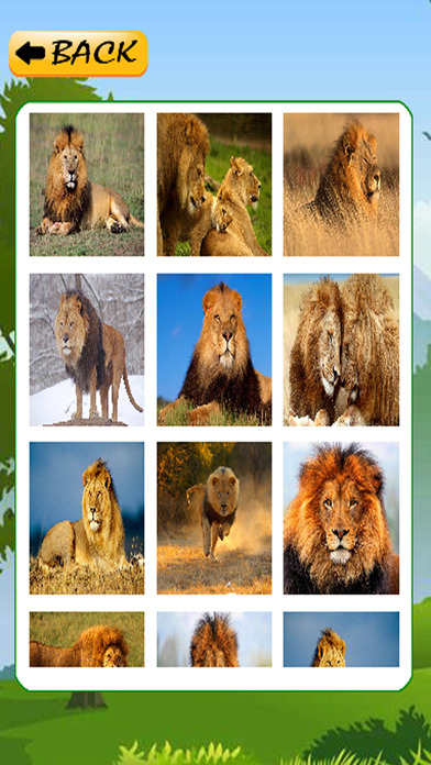 Animal Jigsaw Puzzle Games Lion Education screenshot 2