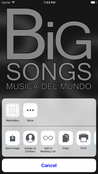 Big Songs Radio screenshot 2