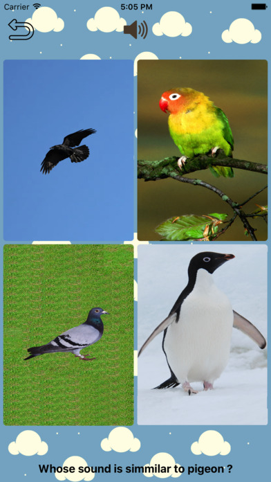 My Birds screenshot 3