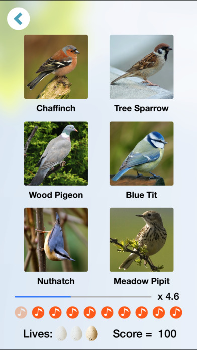 App Shopper: Chirp! Bird Songs & Calls of Britain and Europe + (Reference)