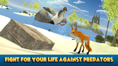 Duck Simulator 3D: Flying Bird Life screenshot 2