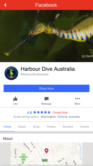 Harbour Dive Australia screenshot 3