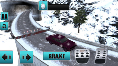 Real Winter Snow Car Driving Simulato screenshot 2