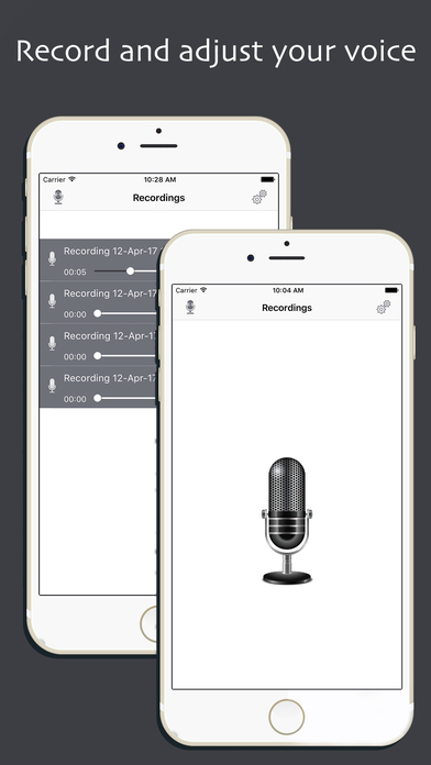 Voice Recorder - Audio Recorder In Voice screenshot 3