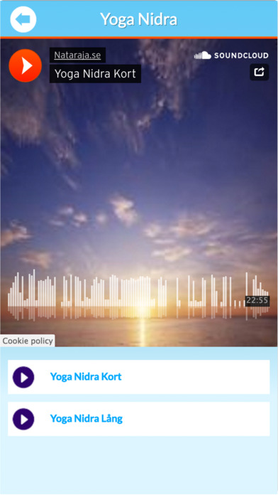 Yoga Nidra på svenska screenshot 2