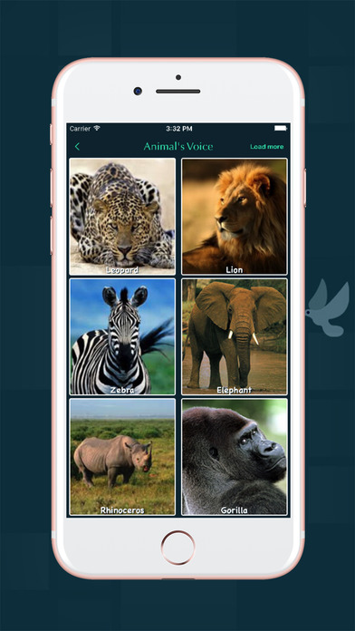 Zoo Voice screenshot 2