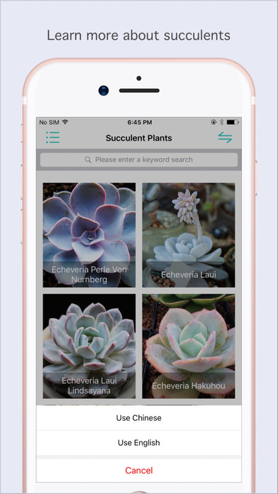 Succulent Album Pro - Help You Know Succulents screenshot 3