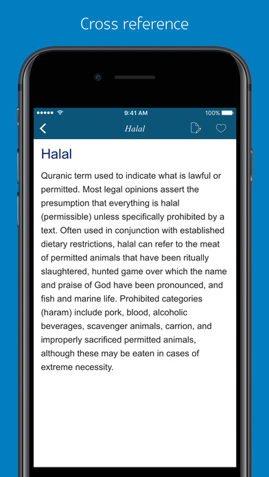 Islam Dictionary - combined version screenshot 3