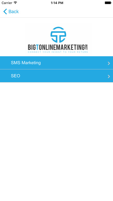 BigtOnlineMarketing.com screenshot 2
