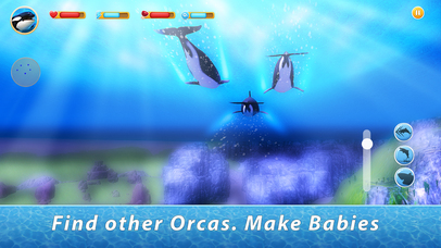 Orca Family Simulator Full screenshot 2