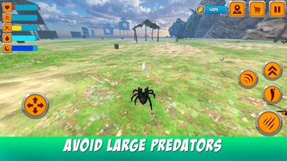 Wild Life of Tarantula Spider screenshot 4