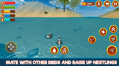Wild Pelican Simulator: Sea Bird Life 3D screenshot 2