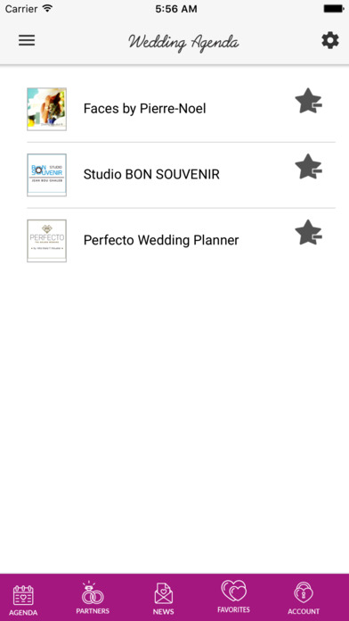 Wedding Agenda screenshot 4