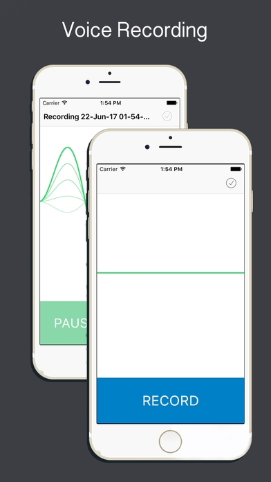 Audio Recorder - Voice Recorder In Audio screenshot 2