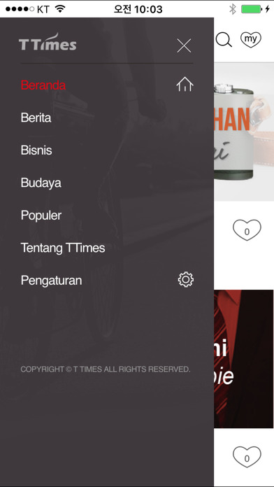 TTimes Indonesia screenshot 2