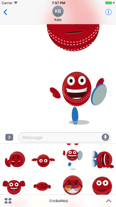 Cricket Ball Emoji - Stickers & Animations screenshot 2