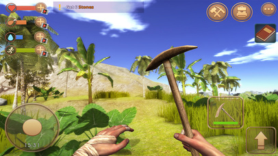 The Survival: Island Adventure screenshot 3