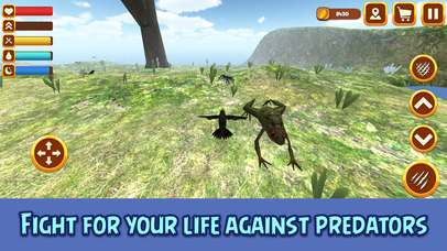 Flying Hummingbird Simulator: Bird Life 3D Full screenshot 4