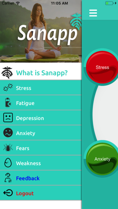 Sanap screenshot 3