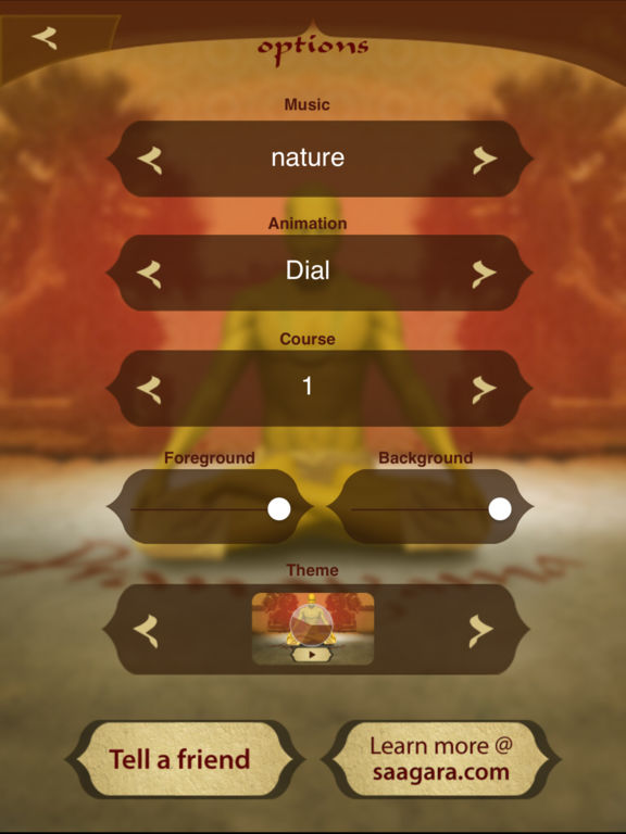 iPad Screenshot 5